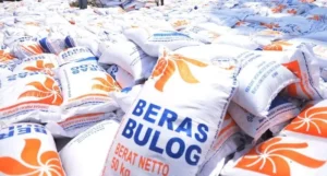 bulog-15000-ton-beras-impor-asal-vietnam-masuk-indonesia-bulan-depan-700x375-533124169
