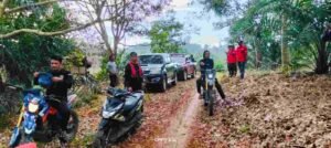 Compress_20251103_205331_1461