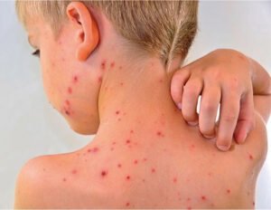 article_8fae65ad7349d6395b5fb2d2fd59a2737b929c0a