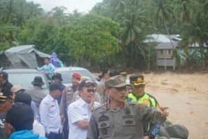 1765543272_e1e33889de2c3c175f6b (1)