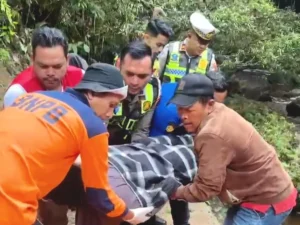 4334917699-1000982112